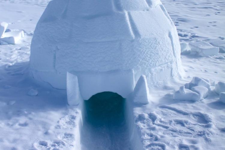 Igloo